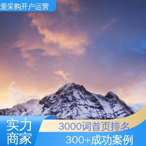 爱|采购代运营外包 厂家公司b2b 自动发布软件 新账户开店入驻